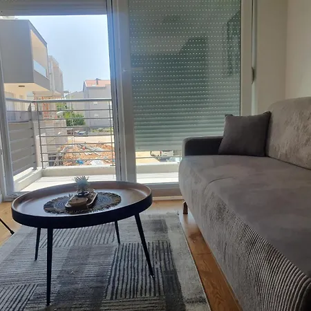 Gold Shine * 자다르